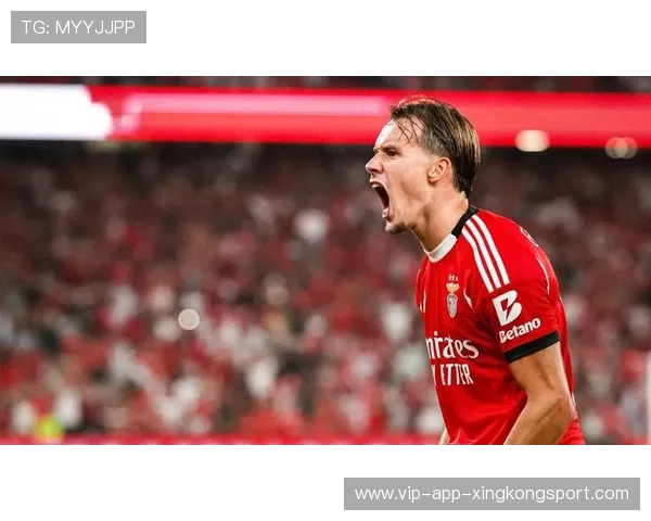 本菲卡稳扎稳打，成为联赛与欧战双线亮点